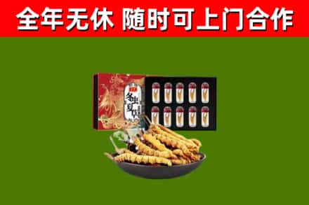 迭部回收冬虫夏草价格